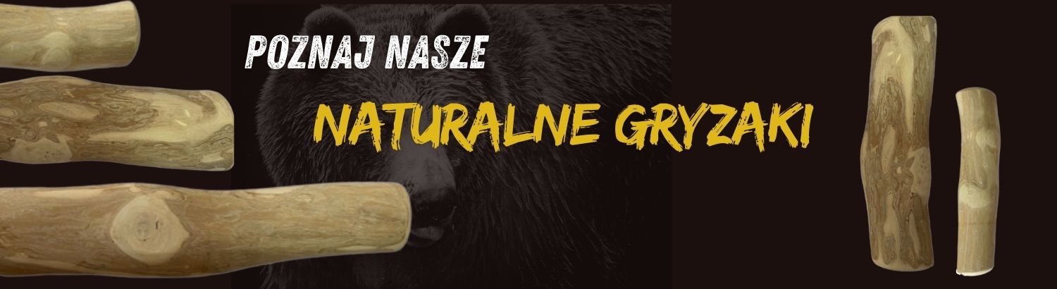 BANER 1 NOWY